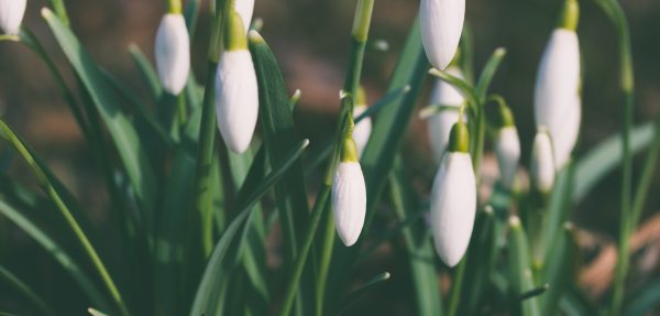 Top handles bags for Spring